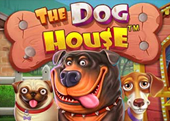 The Dog House